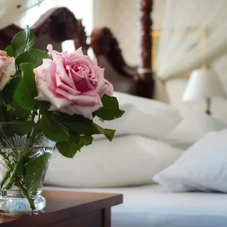 Bed and Breakfast Bellevue Palae,